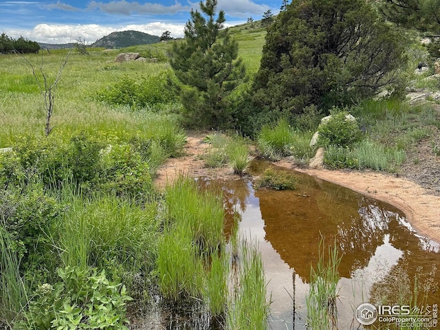 2302 W County Road 82e, Livermore, CO 80536 - mountain view