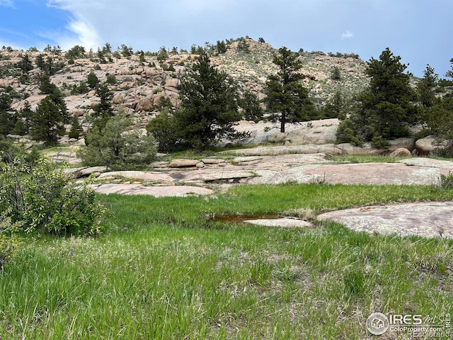 2302 W County Road 82e, Livermore, CO 80536 - view of yard