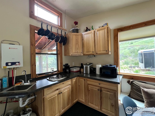 2302 W County Road 82e, Livermore, CO 80536 - kitchen featuring a sink, black microwave, healthy amount of natural light, and tankless water heater
