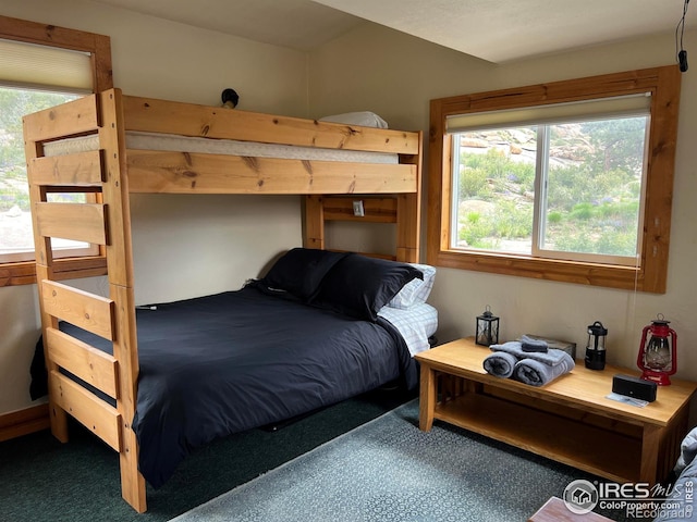 2302 W County Road 82e, Livermore, CO 80536 - view of carpeted bedroom