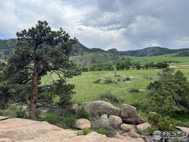 2302 W County Road 82e, Livermore, CO 80536 - mountain view