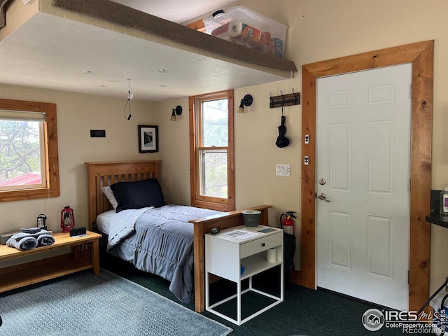 2302 W County Road 82e, Livermore, CO 80536 - bedroom featuring dark colored carpet and multiple windows