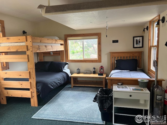 2302 W County Road 82e, Livermore, CO 80536 - view of carpeted bedroom
