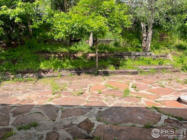 4809 Foothills Dr, Fort Collins, CO 80526 - exterior view