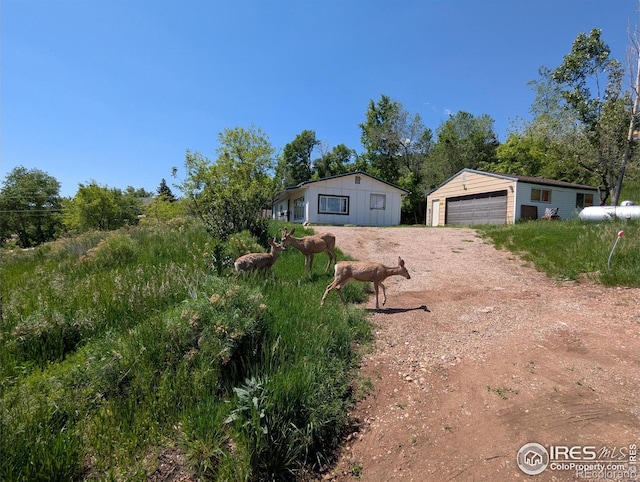 4809 Foothills Dr, Fort Collins, CO 80526 - view of yard featuring an outbuilding, a garage, and driveway