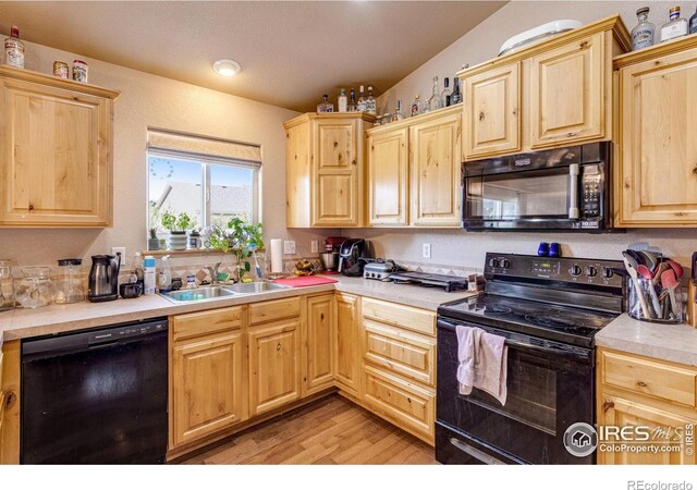 3242 Firewater Ln, Wellington, CO 80549