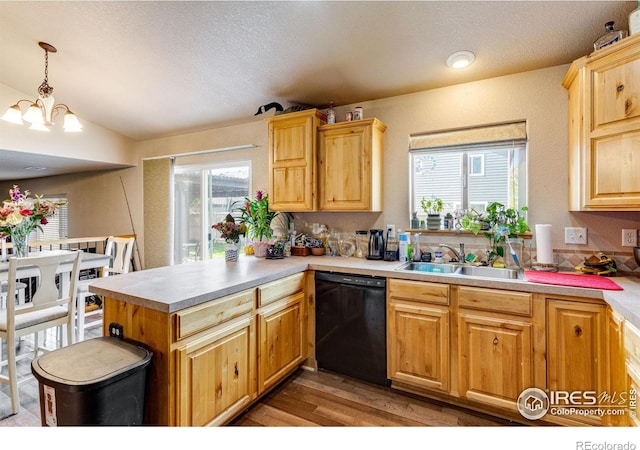 3242 Firewater Ln, Wellington, CO 80549