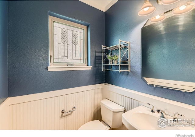 634 Homestead St, Lafayette, CO 80026 - half bath with toilet, wainscoting, a textured wall, and a sink