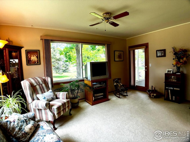 1515 Tulip Ct, Longmont, CO 80501 - living area featuring ornamental molding, carpet flooring, and ceiling fan