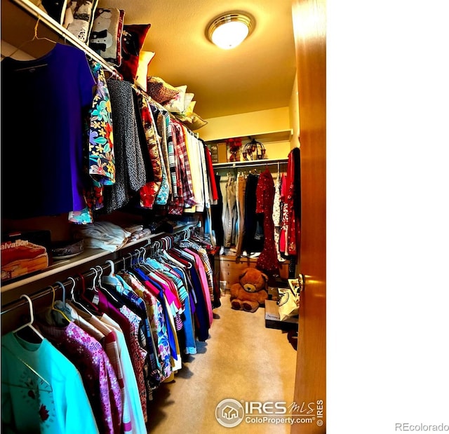 1515 Tulip Ct, Longmont, CO 80501 - spacious closet featuring carpet flooring