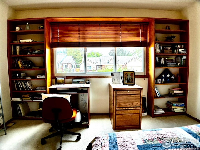 1515 Tulip Ct, Longmont, CO 80501 - office featuring healthy amount of natural light and carpet floors