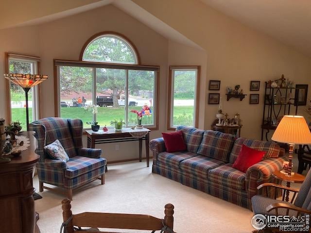 1515 Tulip Ct, Longmont, CO 80501 - living area featuring carpet and high vaulted ceiling