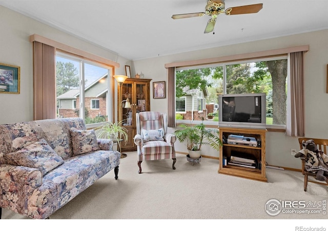 1515 Tulip Ct, Longmont, CO 80501 - carpeted living area featuring plenty of natural light, a ceiling fan, and crown molding