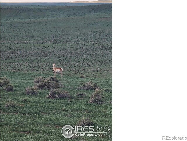 0 County Road 108, Nunn, CO 80648 - photo 7