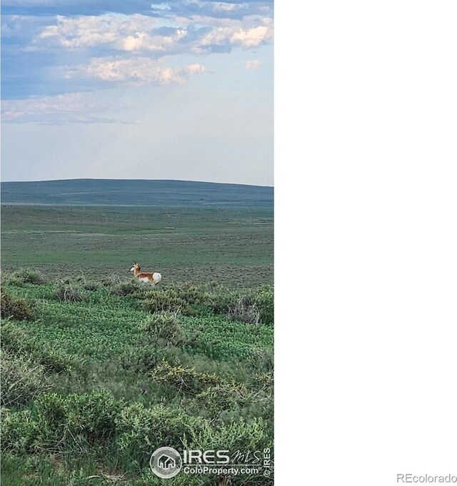 0 County Road 108, Nunn, CO 80648 - photo 8