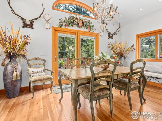 189 Fishermans Ln, Glen Haven, CO 80532 - photo 9
