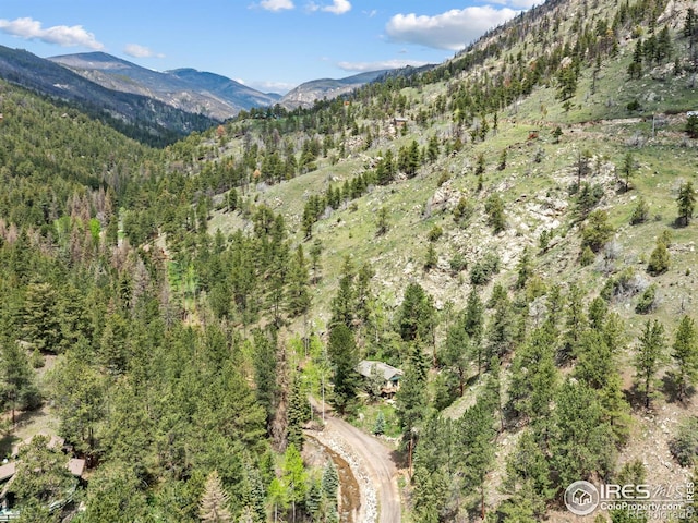 189 Fishermans Ln, Glen Haven, CO 80532 - photo 35