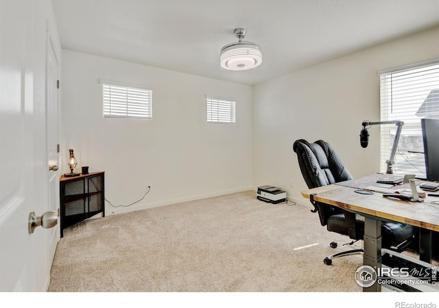 3657 Speedwell St, Wellington, CO 80549 - office area with carpet flooring and plenty of natural light