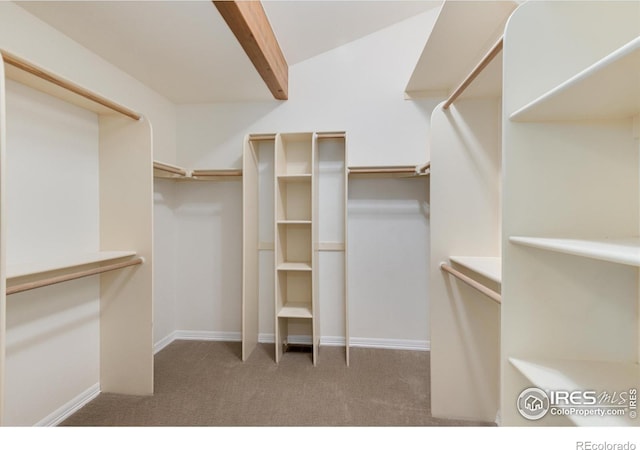 142 Meadowlook Way, Boulder, CO 80304 - spacious closet featuring carpet