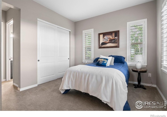3075 Blue Mountain Dr, Broomfield, CO 80023 - bedroom with carpet, a closet, and baseboards