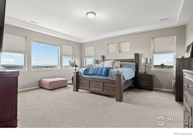 3075 Blue Mountain Dr, Broomfield, CO 80023 - bedroom featuring light carpet, baseboards, and a tray ceiling