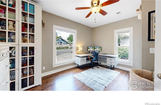 904 N Jefferson Ave, Loveland, CO 80537 - home office featuring plenty of natural light, wood finished floors, ceiling fan, and baseboards