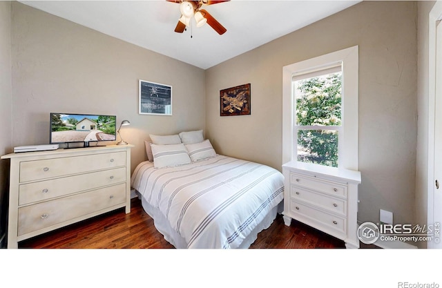 904 N Jefferson Ave, Loveland, CO 80537 - bedroom with dark wood-type flooring