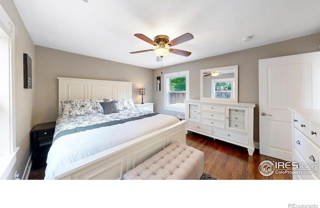 904 N Jefferson Ave, Loveland, CO 80537 - bedroom featuring dark wood-type flooring and ceiling fan