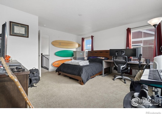 1958 Autumn Moon Dr, Windsor, CO 80550 - carpeted bedroom with an office area
