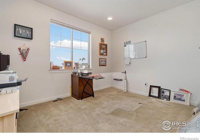 1958 Autumn Moon Dr, Windsor, CO 80550 - photo 22