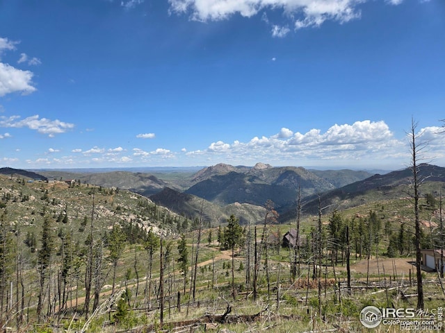 821 Woodlot Ln, Bellvue, CO 80512 - photo 1