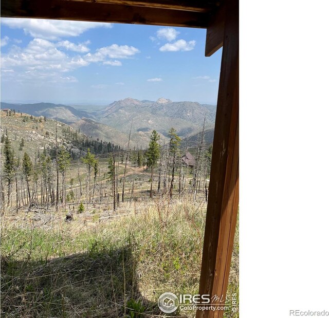 821 Woodlot Ln, Bellvue, CO 80512 - photo 8