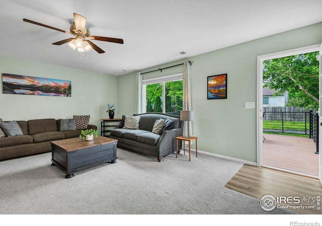 1309 Red Mountain Dr, Longmont, CO 80504 - living area with carpet and a ceiling fan