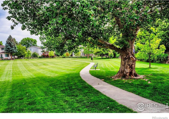 1309 Red Mountain Dr, Longmont, CO 80504 - view of grassy yard