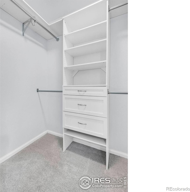 1309 Red Mountain Dr, Longmont, CO 80504 - spacious closet featuring carpet flooring