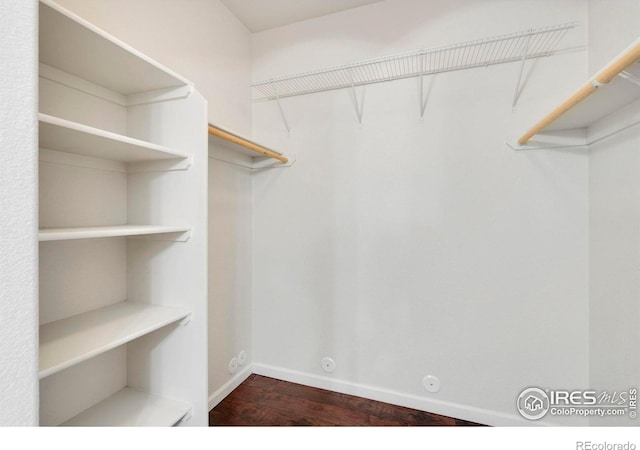 2202 Owens Ave # 102, Fort Collins, CO 80528 - spacious closet with wood finished floors