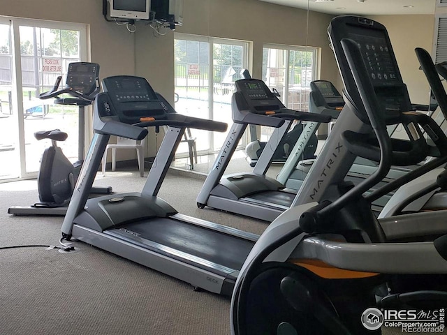 2202 Owens Ave # 102, Fort Collins, CO 80528 - exercise room featuring carpet flooring
