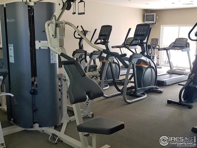2202 Owens Ave # 102, Fort Collins, CO 80528 - exercise room featuring carpet
