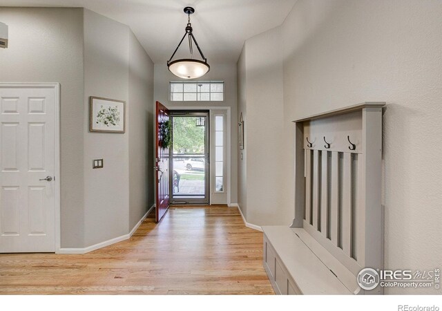 6208 Treestead Ct, Fort Collins, CO 80528 - entryway featuring light wood-style flooring, baseboards, and a towering ceiling