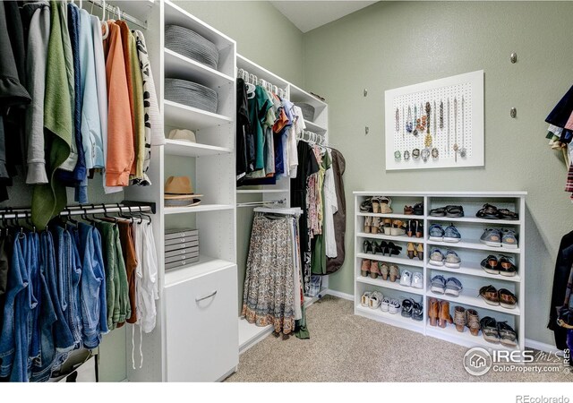 6208 Treestead Ct, Fort Collins, CO 80528 - spacious closet with carpet flooring