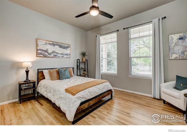 6208 Treestead Ct, Fort Collins, CO 80528 - bedroom featuring light wood-style flooring, baseboards, and a ceiling fan