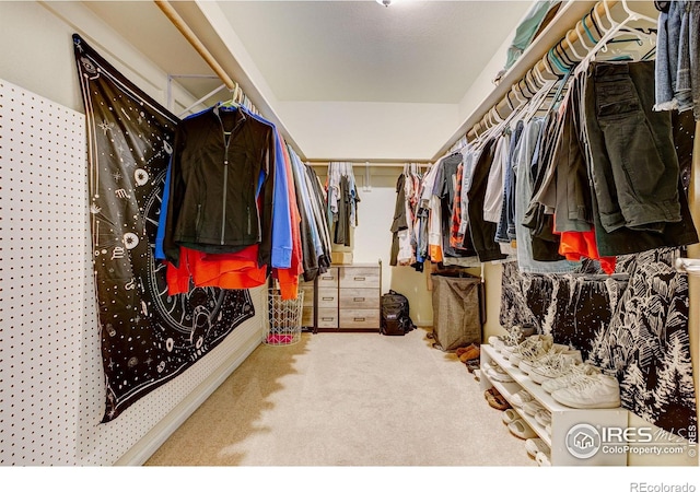6208 Treestead Ct, Fort Collins, CO 80528 - walk in closet featuring carpet