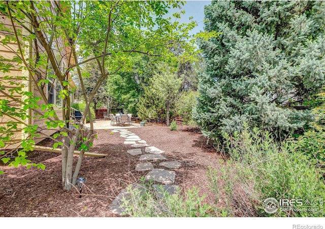 6208 Treestead Ct, Fort Collins, CO 80528 - view of yard featuring a patio area
