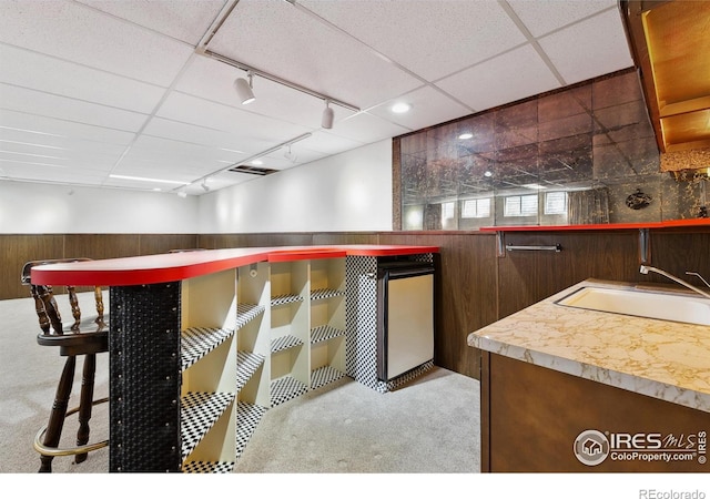 1204 Newsom St, Fort Collins, CO 80524 - indoor bar featuring rail lighting, carpet flooring, a paneled ceiling, wooden walls, and a wainscoted wall