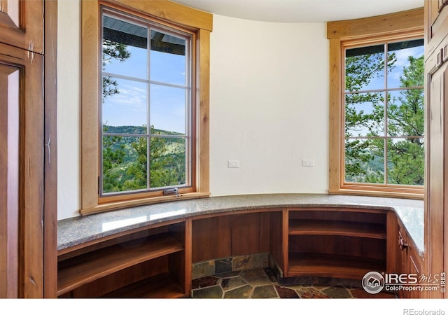 409 Wild Horse Cir, Boulder, CO 80304 - unfurnished office featuring plenty of natural light and stone finish flooring