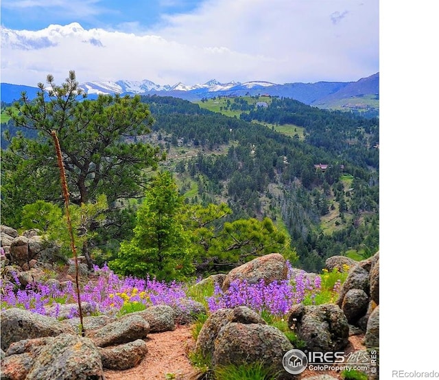 409 Wild Horse Cir, Boulder, CO 80304 - view of mountain background featuring a heavily wooded area