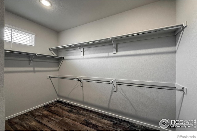 539 Vicot Way Unit C, Fort Collins, CO 80524 - spacious closet featuring dark wood-style floors