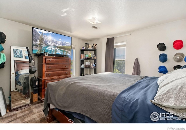 6743 King St, Denver, CO 80221 - bedroom with carpet flooring