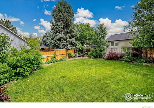 13112 Summit Grove Pkwy, Thornton, CO 80241 - view of yard