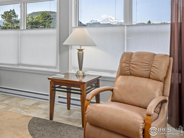 625 Steamer Dr Unit 2, Estes Park, CO 80517 - photo 16